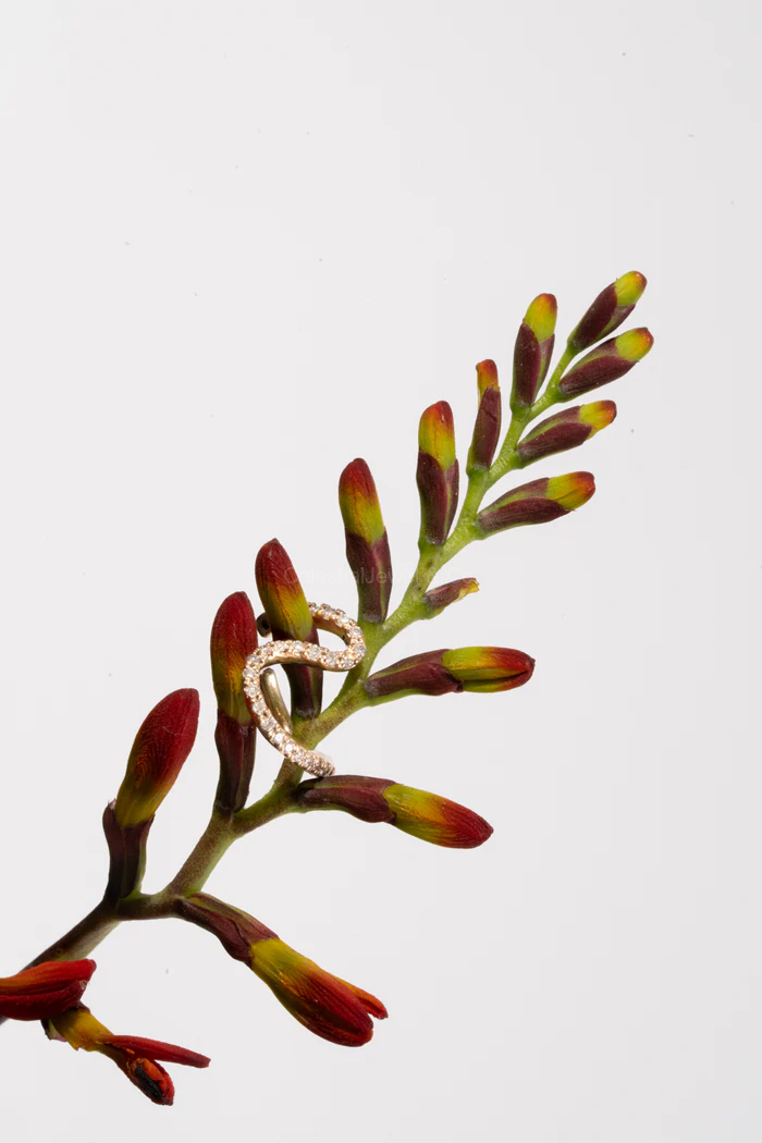 Diamond & Gold Jewellery – Rings, Earrings, Necklaces | Celestial Jewel